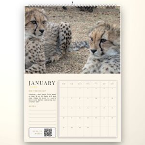 Nova's Legacy - Calendar 2027
